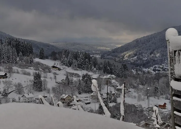 Ecrin Equipe Pour Personne A Mobilite Reduite, Belle Vue Lac, Sauna Et Wifi Gérardmer